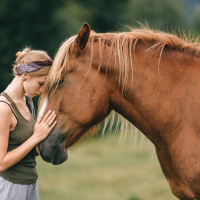 Young beautiful girl hugging horse at nature.
